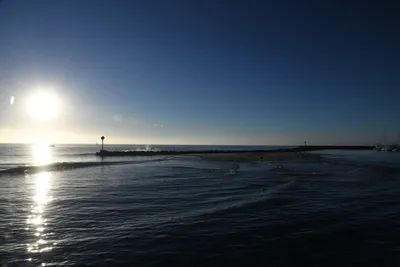 DSC_6564 (Large).JPG